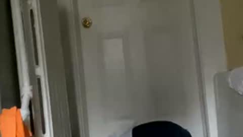 skola44 online show from 12/05/25, 06:37