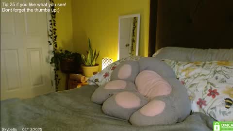 Skylar online show from 02/13/25, 04:28