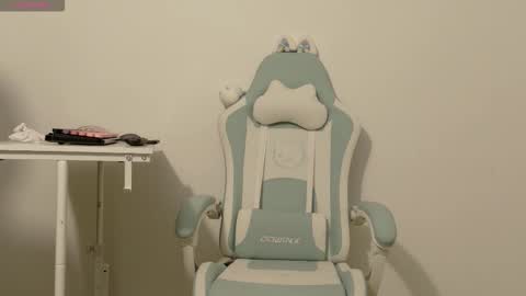 Snapshot of skye_nerdy chatting on 10/12/25, 05:06 SKYE. online show from 10/12/25, 05:06