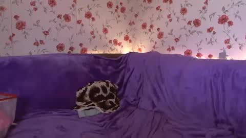 Sky online show from 02/24/25, 06:05