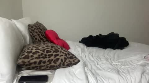 Snapshot of skyybanks chatting on 10/15/25, 02:11 Skylar online show from 10/15/25, 02:11