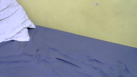 slim_bonny254 online show from 12/17/25, 09:26