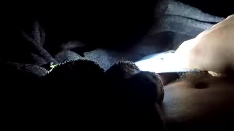 Snapshot of slimbigd69420 chatting on 11/17/25, 05:02 slimbigd69420 online show from 11/17/25, 05:02