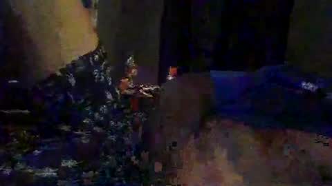 Snapshot of slimeguy315 chatting on 09/20/25, 03:40 slimeguy315 online show from 09/20/25, 03:40