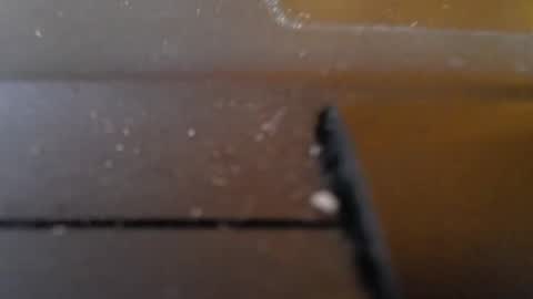 Jemila online show from 01/29/25, 01:27