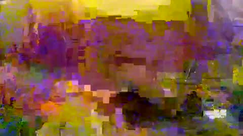 slip_inslide online show from 03/09/25, 06:11