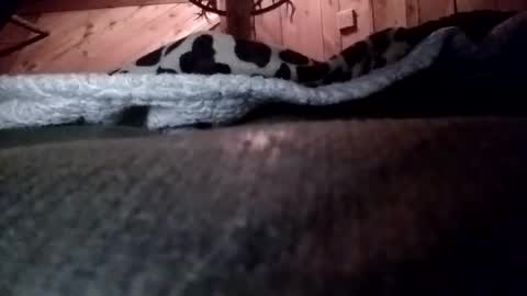 slurryyy online show from 03/29/26, 01:38