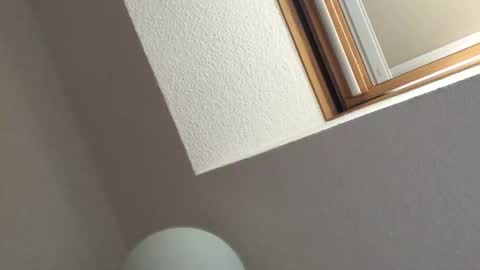 Bernd online show from 09/18/25, 02:30