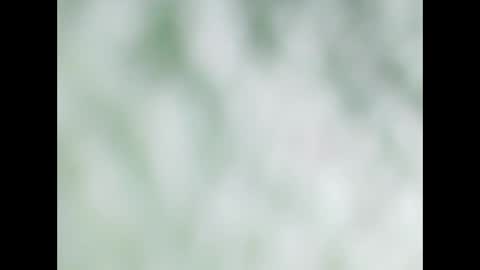 small wood21 online show from 12/22/25, 11:51