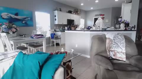 Daddy online show from 12/25/24, 02:23