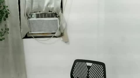 Julia online show from 11/25/25, 01:22