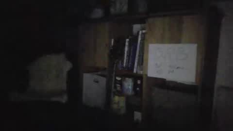 smileing hillbilly online show from 01/27/25, 04:30