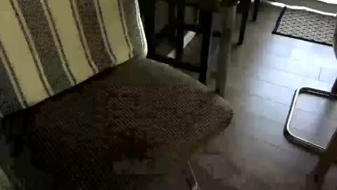 Peter Johnson online show from 06/22/26, 08:39