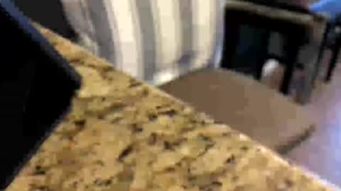 Peter Johnson online show from 07/16/26, 06:47