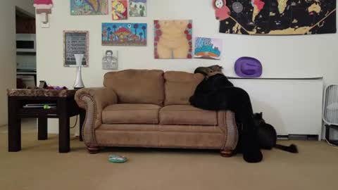 Snapshot of smokihippi chatting on 07/26/26, 02:57 Big Dawg online show from 07/26/26, 02:57