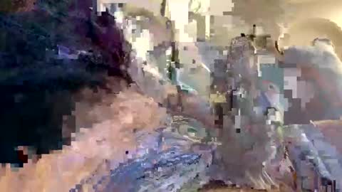 Snapshot of smokingdank chatting on 12/18/24, 03:47 smokingdank online show from 12/18/24, 03:47