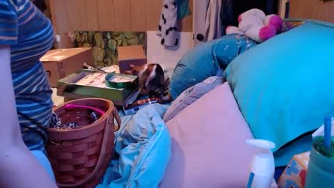 Snapshot of smokydian chatting on 12/24/24, 02:54 DIAN dee-ann online show from 12/24/24, 02:54