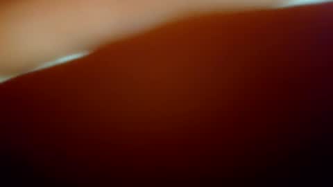 snopchat1234 online show from 02/02/26, 06:56