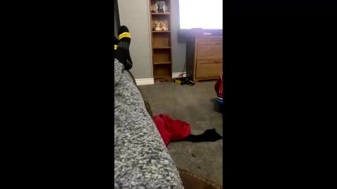 snowball5499 online show from 04/03/26, 03:26