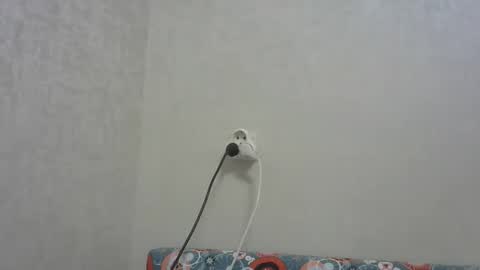 Arthur online show from 12/19/25, 05:09