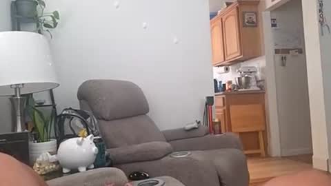 socaldayz online show from 08/02/26, 03:10