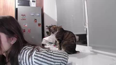 Sofi online show from 02/11/25, 07:38