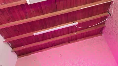 Sofia online show from 11/14/25, 03:05