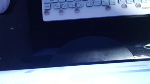 SOFIA NIX online show from 01/13/25, 06:06