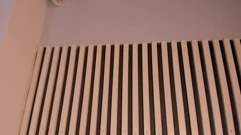 Sofie online show from 11/11/25, 02:39