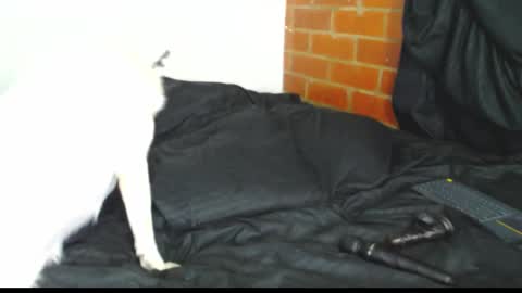  Sofy  online show from 02/21/26, 03:07