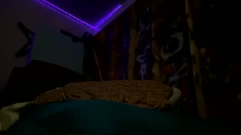 sohan730903 online show from 02/15/26, 07:51