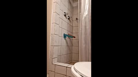 sologirl81 online show from 02/06/26, 05:38