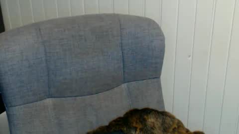 sonjairene online show from 01/08/25, 03:51