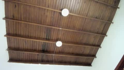 sophie_smith19 online show from 12/22/25, 01:19