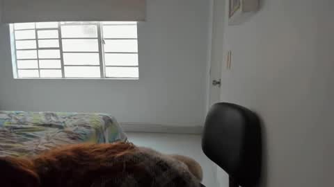 Sophia online show from 02/11/25, 10:39