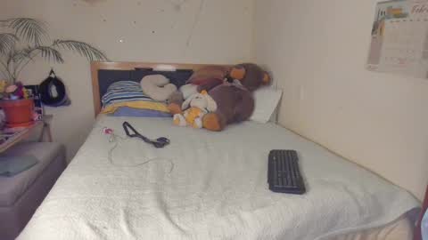 SofiTrans21 online show from 02/06/26, 11:08