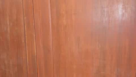 Shopiia88 online show from 02/18/26, 12:01