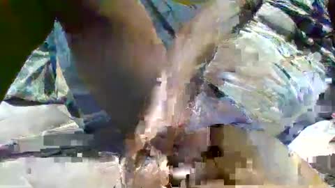 source1012 online show from 01/16/25, 11:59