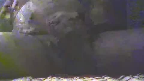 Snapshot of southgolan chatting on 03/04/25, 07:32 Golan online show from 03/04/25, 07:32