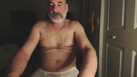 Snapshot of soyelpoti79 chatting on 12/28/24, 06:17 WhiteWolfFL online show from 12/28/24, 06:17