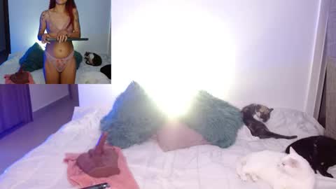      online show from 02/23/26, 11:46