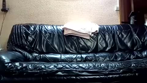 Snapshot of spanishharddick chatting on 03/10/25, 04:57 Manu online show from 03/10/25, 04:57