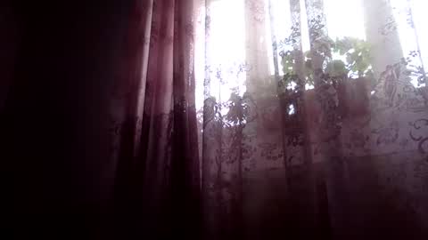 Snaiky online show from 02/05/25, 11:23