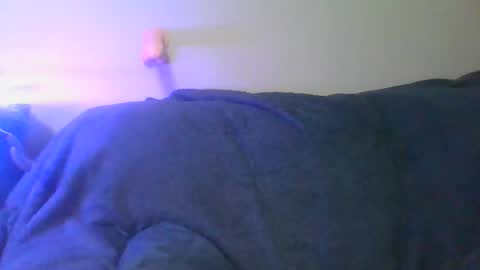 Scottietee online show from 04/11/26, 07:45