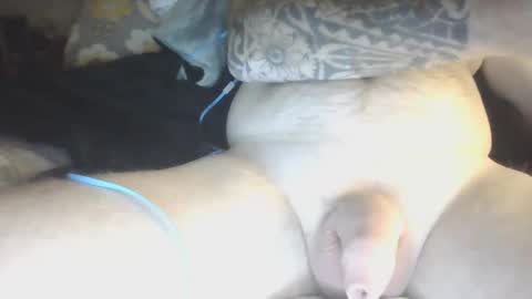 Snapshot of species98 chatting on 01/29/25, 05:51 species online show from 01/29/25, 05:51