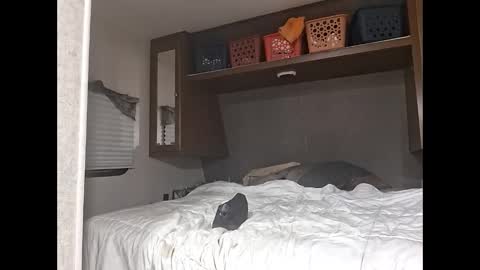 speedo_tx online show from 03/23/26, 05:11