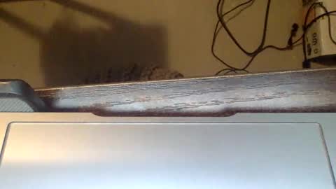 spirit__bear online show from 11/22/25, 12:59