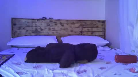 Splasher online show from 10/25/25, 11:29