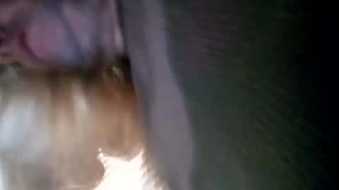Snapshot of spunslut212 chatting on 01/06/25, 03:51 spunslut212 online show from 01/06/25, 03:51