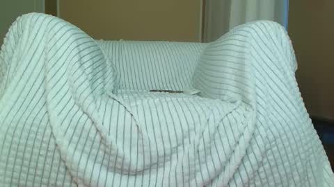 Amelia online show from 10/31/25, 06:58